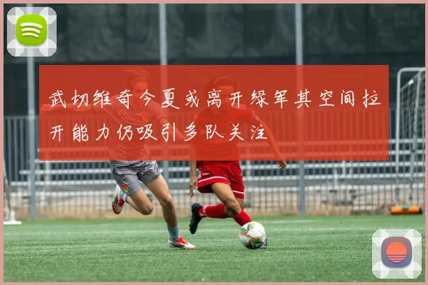 武切维奇今夏或离开绿军其空间拉开能力仍吸引多队关注
