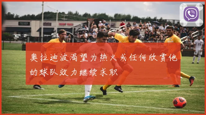 奥拉迪波渴望为热火或任何欣赏他的球队效力继续求职
